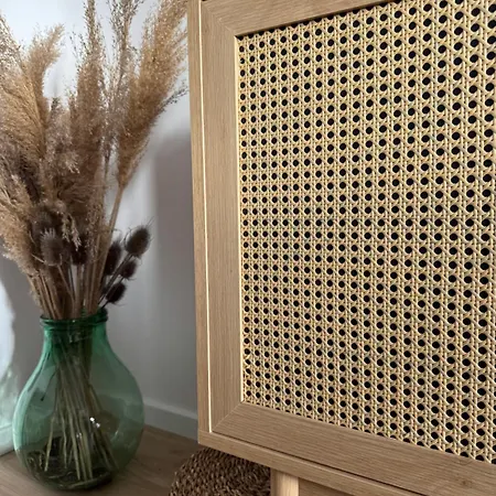 Blue Sea 2 アパート Pakoštane